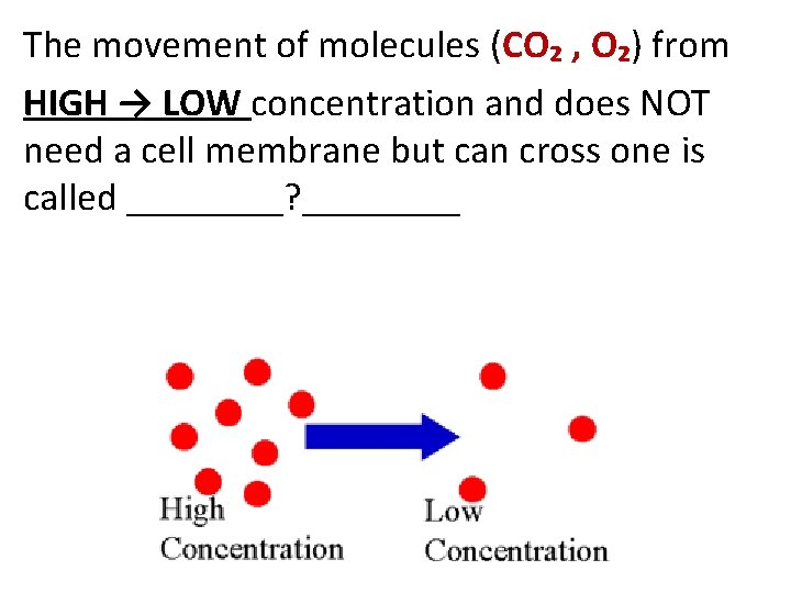 The movement of molecules (CO₂ , O₂) from HIGH → LOW concentration and does