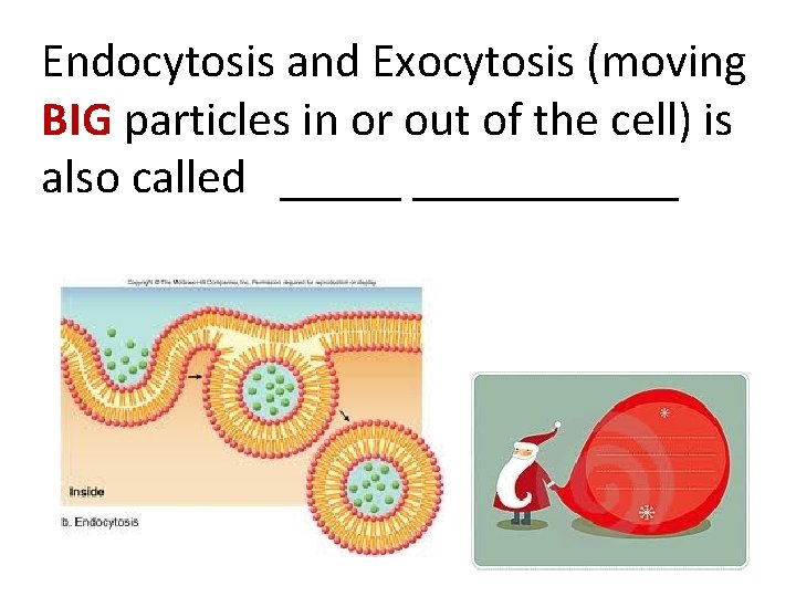 Endocytosis and Exocytosis (moving BIG particles in or out of the cell) is also