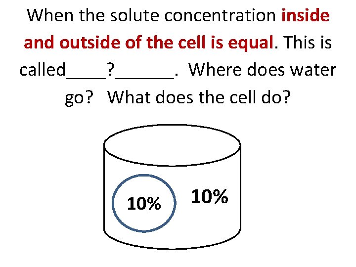 When the solute concentration inside and outside of the cell is equal. This is