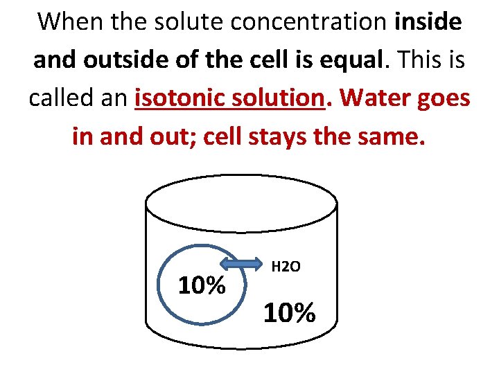 When the solute concentration inside and outside of the cell is equal. This is