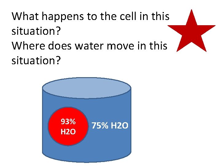 What happens to the cell in this situation? Where does water move in this