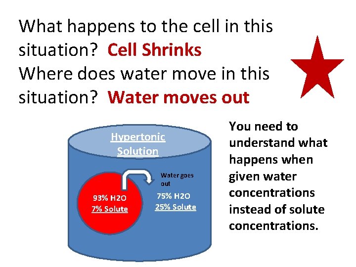 What happens to the cell in this situation? Cell Shrinks Where does water move