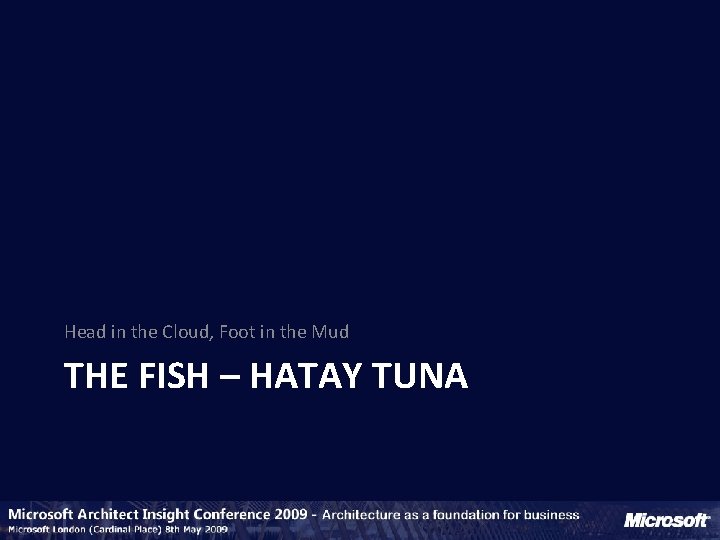 Head in the Cloud, Foot in the Mud THE FISH – HATAY TUNA 