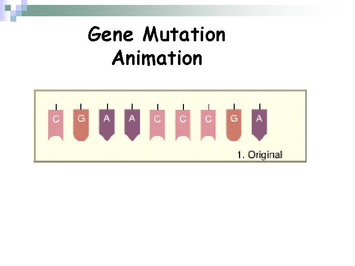 Gene Mutation Animation 