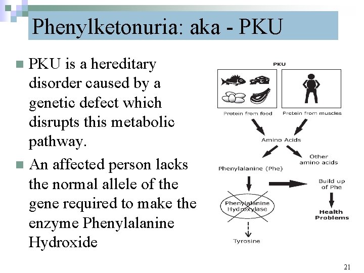 Phenylketonuria: aka - PKU is a hereditary disorder caused by a genetic defect which