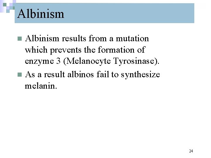 Albinism results from a mutation which prevents the formation of enzyme 3 (Melanocyte Tyrosinase).