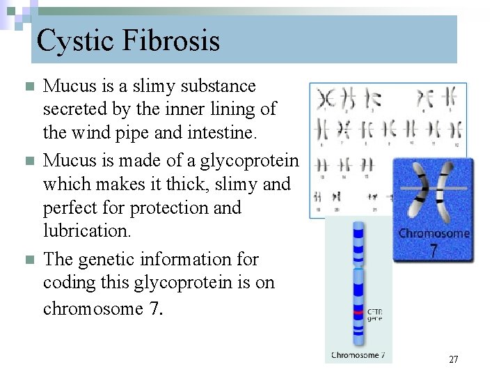 Cystic Fibrosis n n n Mucus is a slimy substance secreted by the inner