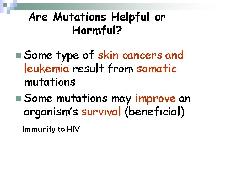 Are Mutations Helpful or Harmful? n Some type of skin cancers and leukemia result