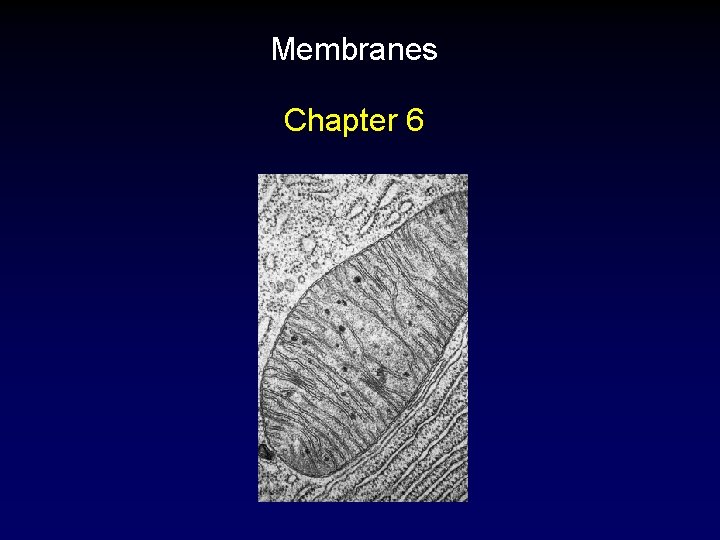 Membranes Chapter 6 