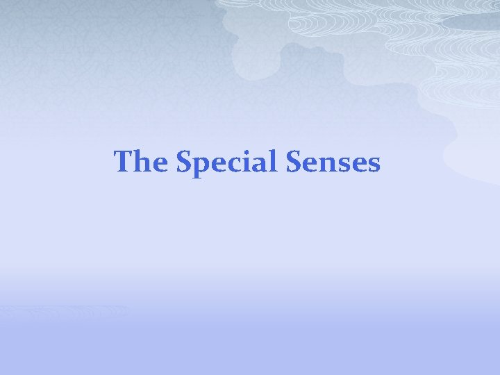 The Special Senses 