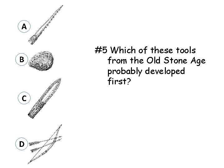 A B C D #5 Which of these tools from the Old Stone Age