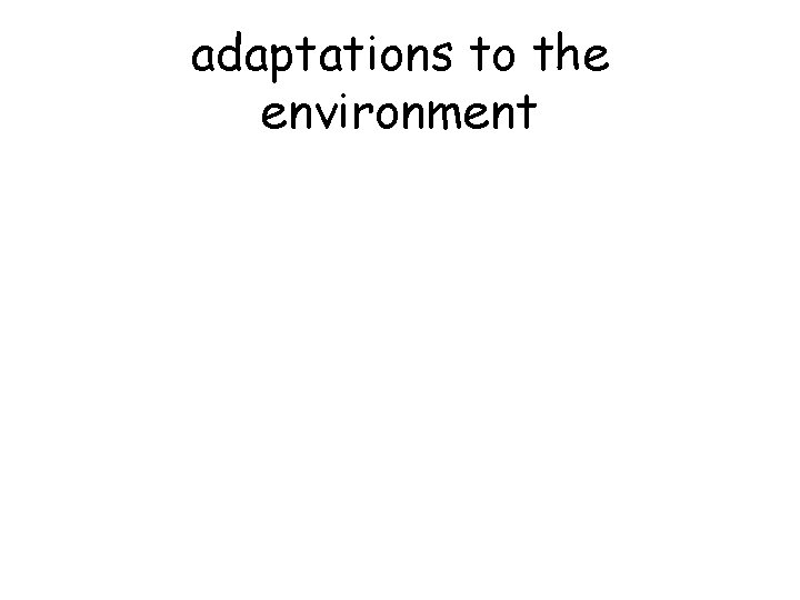 adaptations to the environment 