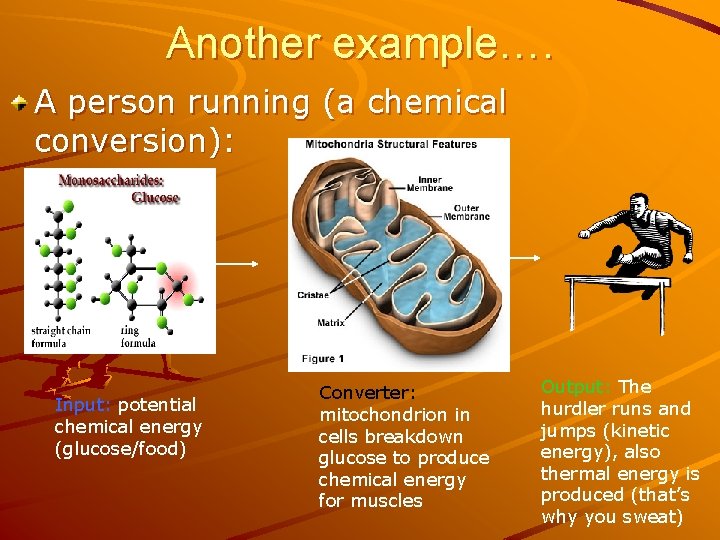 Energy Transformations Chapter 5 Energy Conversions the transfer