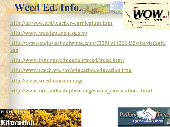 Weed Ed. Info. http: //mtwow. org/teacher-curriculum. htm http: //www. weedawareness. org/ http: //townsendps. schoolwires.