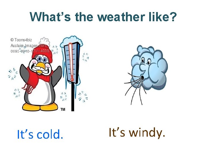 What’s the weather like? It’s cold. It’s windy. 