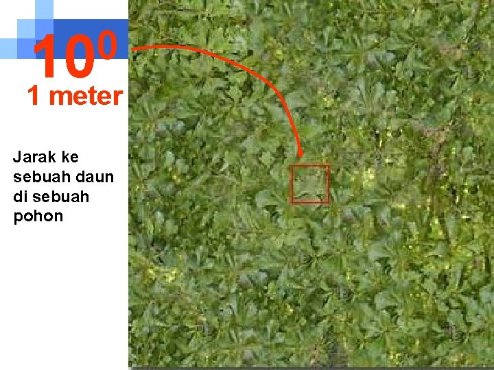 0 10 1 meter Jarak ke sebuah daun di sebuah pohon 