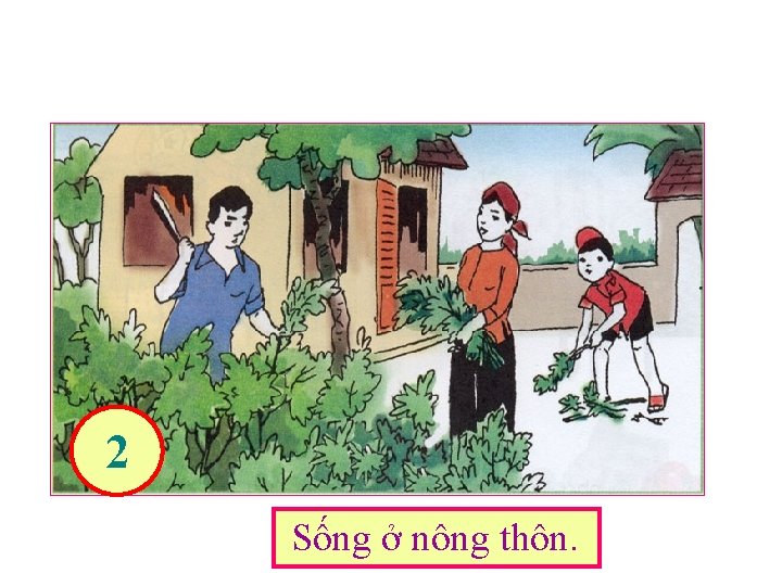 2 Sống ở nông thôn. 