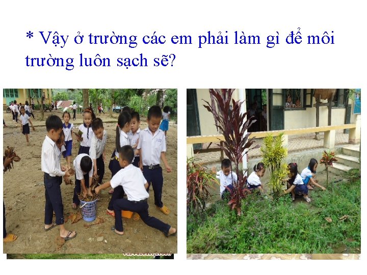 * Vậy ở trường các em phải làm gì để môi trường luôn sạch