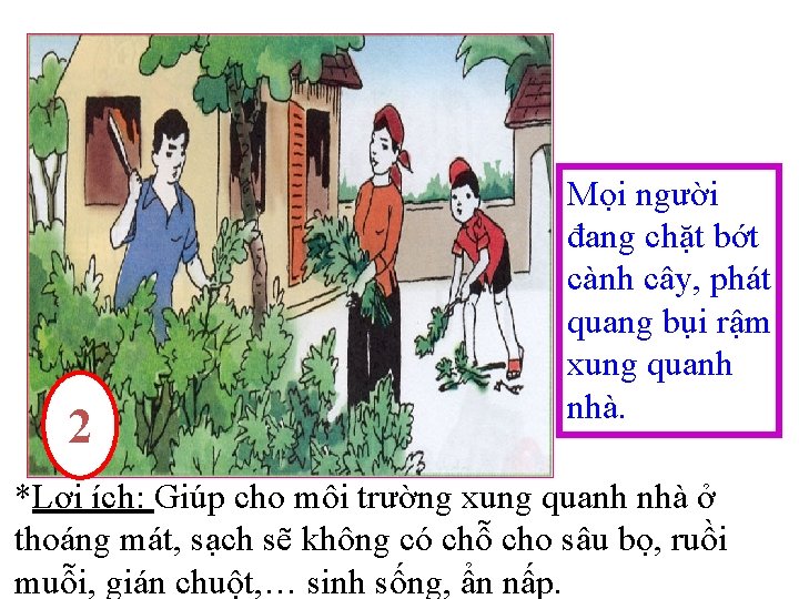 2 Mọi người đang chặt bớt cành cây, phát quang bụi rậm xung quanh