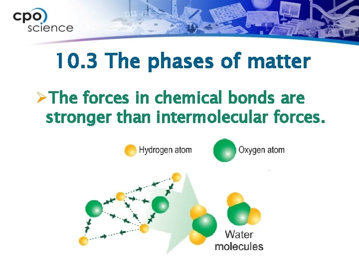 10. 3 The phases of matter ØThe forces in chemical bonds are stronger than