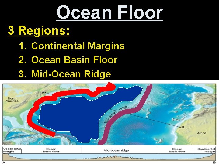 Ocean Floor 3 Regions: 1. Continental Margins 2. Ocean Basin Floor 3. Mid-Ocean Ridge