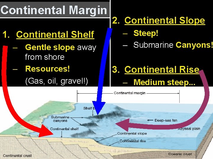Continental Margin 1. Continental Shelf – Gentle slope away from shore – Resources! (Gas,