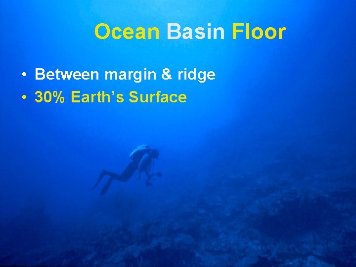 Ocean Basin Floor • Between margin & ridge • 30% Earth’s Surface 