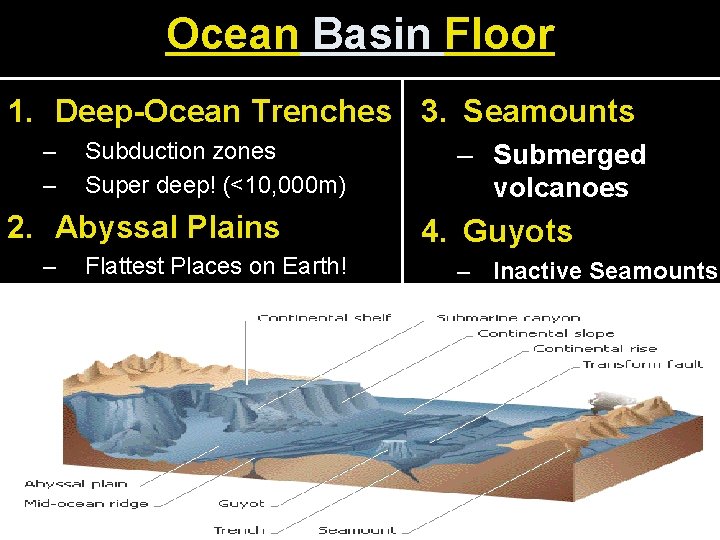 Ocean Basin Floor 1. Deep-Ocean Trenches 3. Seamounts – – Subduction zones Super deep!