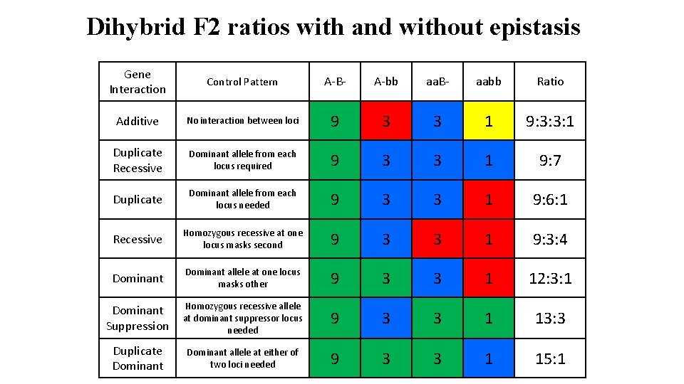 Dihybrid F 2 ratios with and without epistasis Gene Interaction Control Pattern A-B- A-bb