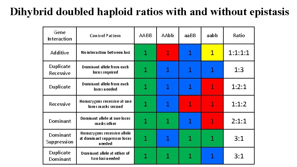 Dihybrid doubled haploid ratios with and without epistasis Gene Interaction Control Pattern AABB AAbb