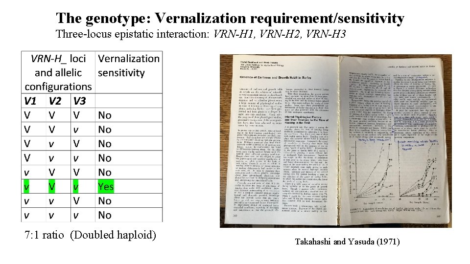 The genotype: Vernalization requirement/sensitivity Three-locus epistatic interaction: VRN-H 1, VRN-H 2, VRN-H 3 7: