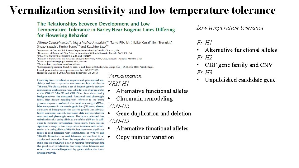 Vernalization sensitivity and low temperature tolerance Low temperature tolerance Vernalization VRN-H 1 • Alternative