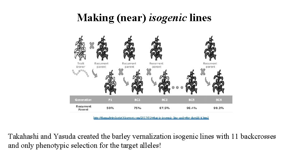 Making (near) isogenic lines http: //themadvirologist. blogspot. com/2017/01/what-is-isogenic-line-and-why-should-it. html Takahashi and Yasuda created the