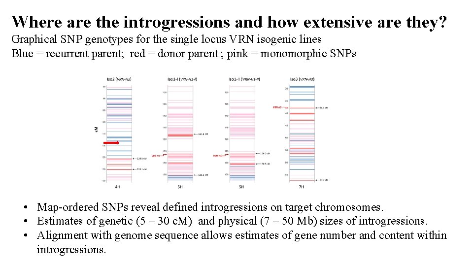 Where are the introgressions and how extensive are they? Graphical SNP genotypes for the