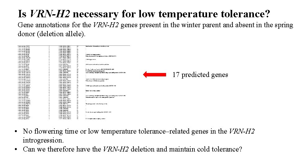 Is VRN-H 2 necessary for low temperature tolerance? Gene annotations for the VRN-H 2