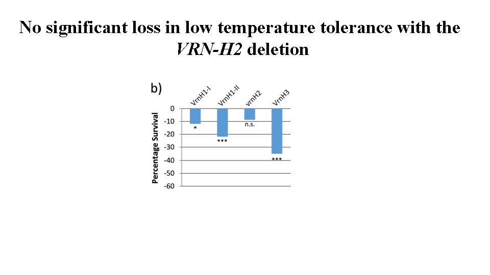 No significant loss in low temperature tolerance with the VRN-H 2 deletion 