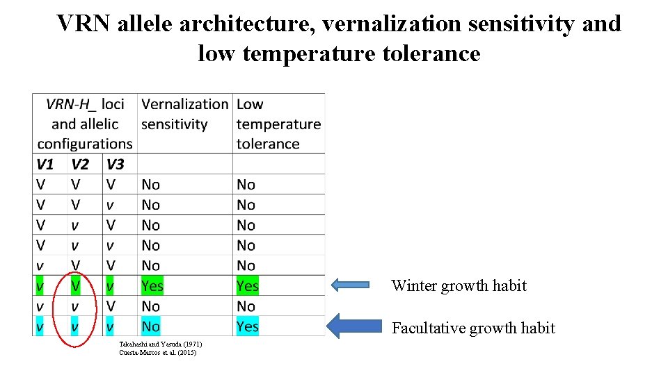 VRN allele architecture, vernalization sensitivity and low temperature tolerance Winter growth habit Facultative growth