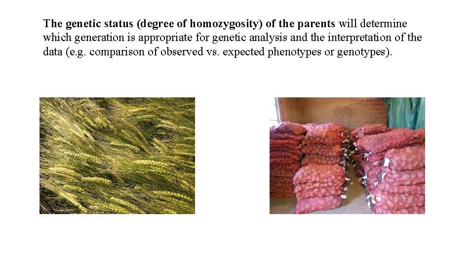 The genetic status (degree of homozygosity) of the parents will determine which generation is