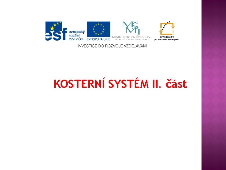 KOSTERNÍ SYSTÉM II. část 