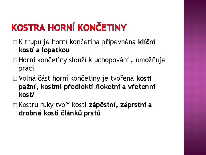 KOSTRA HORNÍ KONČETINY �K trupu je horní končetina připevněna klíční kostí a lopatkou �