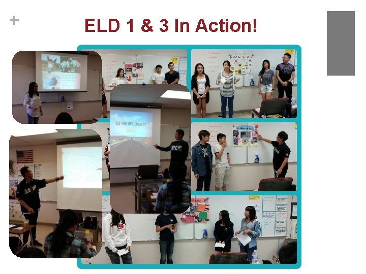 + ELD 1 & 3 In Action! 