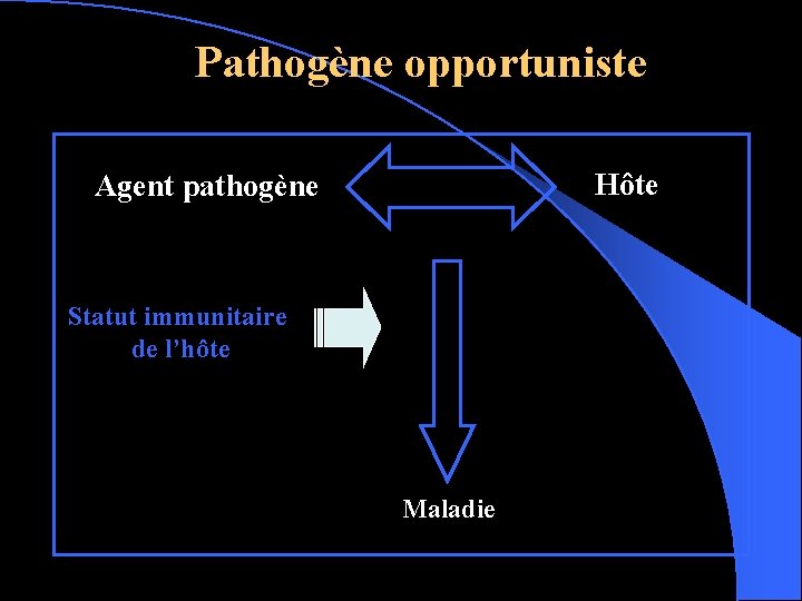 Pathogène opportuniste Hôte Agent pathogène Statut immunitaire de l’hôte Maladie 