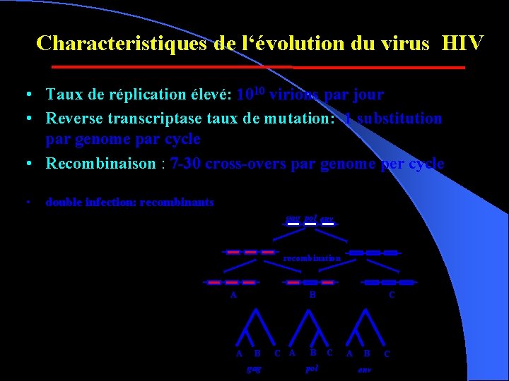 Characteristiques de l‘évolution du virus HIV • Taux de réplication élevé: 1010 virions par