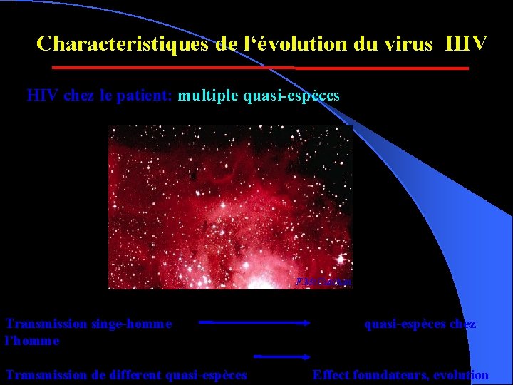 Characteristiques de l‘évolution du virus HIV chez le patient: multiple quasi-espèces F. Mc. Cutchan