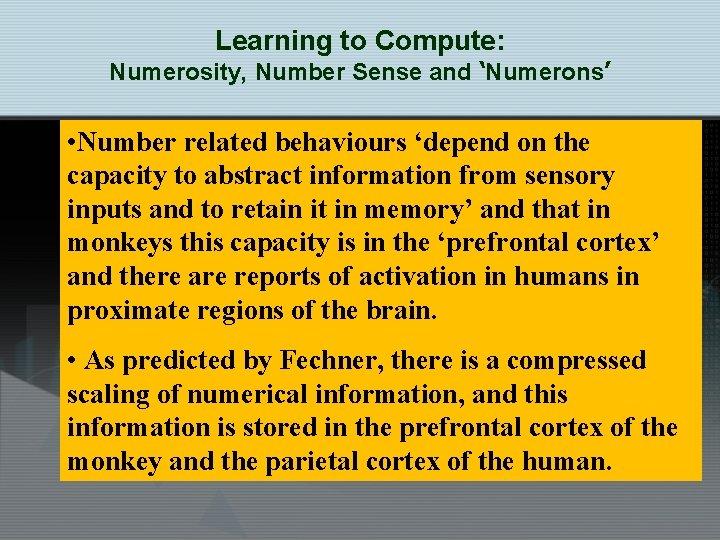 Learning to Compute: Numerosity, Number Sense and ‘Numerons’ • Number related behaviours ‘depend on