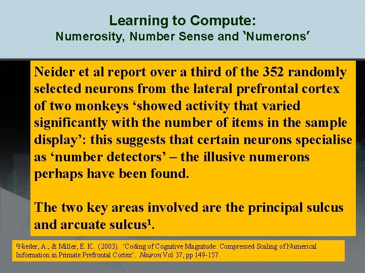 Learning to Compute: Numerosity, Number Sense and ‘Numerons’ Neider et al report over a