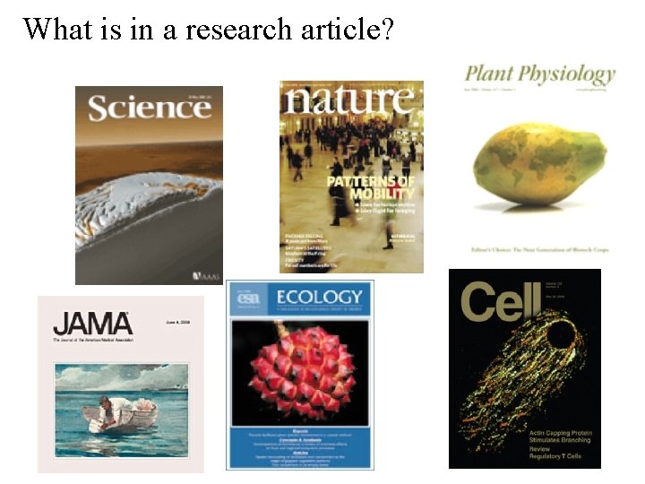 What is in a research article? 