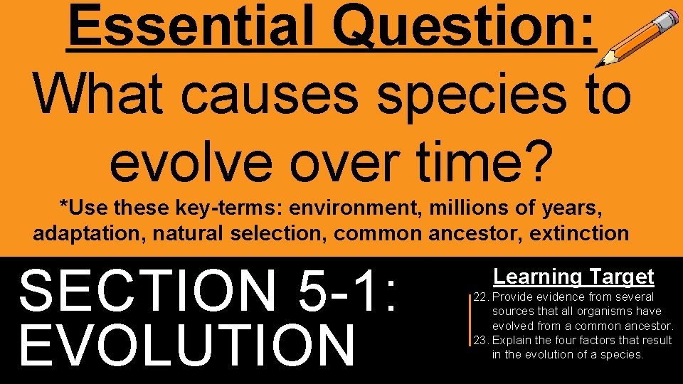 Essential Question: What causes species to evolve over time? *Use these key-terms: environment, millions