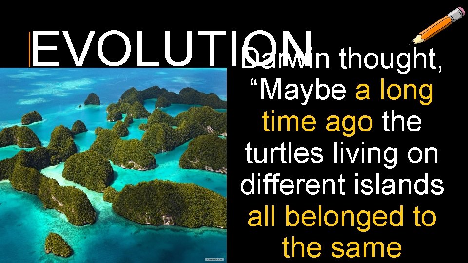 EVOLUTION Darwin thought, “Maybe a long time ago the turtles living on different islands