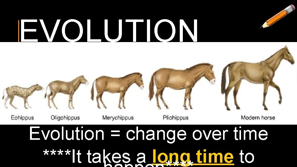 EVOLUTION Evolution = change over time ****It takes a long time to 